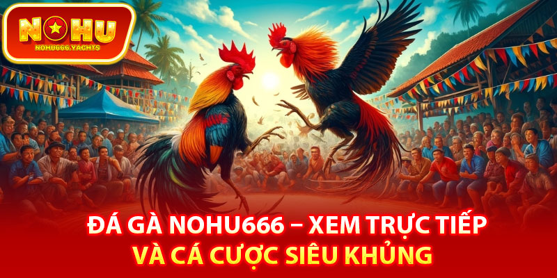 Giới thiệu đôi nét về sảnh game đá gà Nohu666