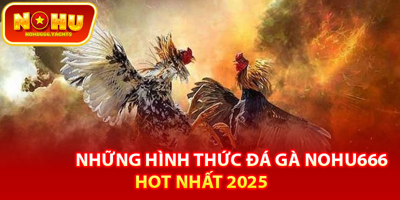 Những hình thức đá gà Nohu666 hot nhất 2025